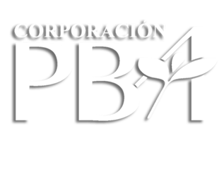 <a href="https://corporacionpba.org/nuevo/">Corporación PBA</a>